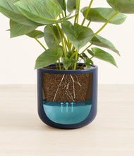 Load image into Gallery viewer, Twilight Blue