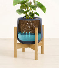 Load image into Gallery viewer, Deep Navy stand:bamboo