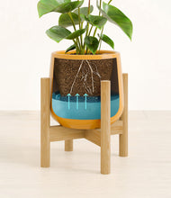 Load image into Gallery viewer, Mustard stand:bamboo