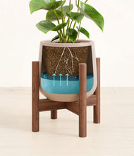 Load image into Gallery viewer, Eternal Gray stand:bamboo