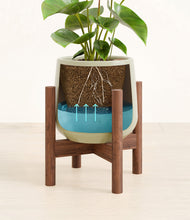 Load image into Gallery viewer, Turquoise stand:bamboo