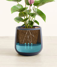 Load image into Gallery viewer, Deep Navy