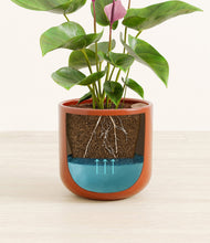 Load image into Gallery viewer, Glossy Red