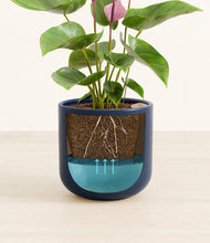 Load image into Gallery viewer, Twilight Blue