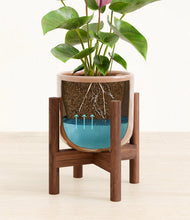 Load image into Gallery viewer, Hammered Peach Pink stand:walnut