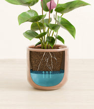 Load image into Gallery viewer, Hammered Peach Pink