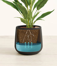 Load image into Gallery viewer, Black