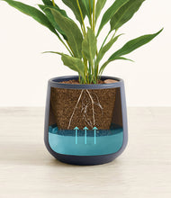 Load image into Gallery viewer, Deep Navy