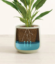 Load image into Gallery viewer, Turquoise