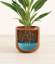 Load image into Gallery viewer, Glossy Red