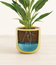 Load image into Gallery viewer, Key Lime Yellow