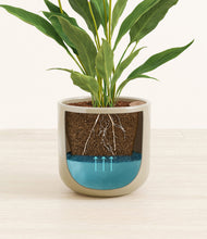 Load image into Gallery viewer, Sage Green