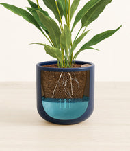 Load image into Gallery viewer, Twilight Blue