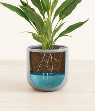 Load image into Gallery viewer, Misty Blue