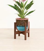 Load image into Gallery viewer, Hammered Rose Pink stand:walnut