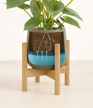 Load image into Gallery viewer, Olive stand:bamboo