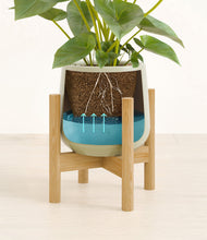 Load image into Gallery viewer, Turquoise stand:bamboo