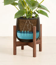 Load image into Gallery viewer, Black stand:walnut