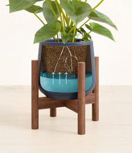 Load image into Gallery viewer, Deep Navy stand:walnut