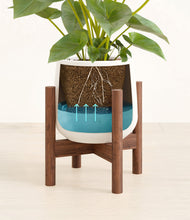 Load image into Gallery viewer, White stand:walnut