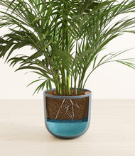 Load image into Gallery viewer, Iron Gray