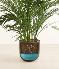 Load image into Gallery viewer, Stone Black