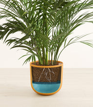 Load image into Gallery viewer, Sunset Orange