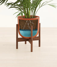 Load image into Gallery viewer, Earth Red stand:walnut