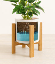 Load image into Gallery viewer, White stand:light