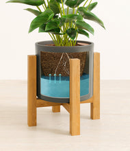 Load image into Gallery viewer, Dark Olive stand:light