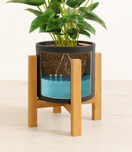 Load image into Gallery viewer, Black stand:light