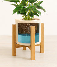 Load image into Gallery viewer, Cream stand:light