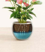 Load image into Gallery viewer, Deep Ocean