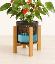 Load image into Gallery viewer, Black stand:light