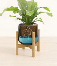 Load image into Gallery viewer, Deep Navy stand:bamboo