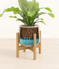 Load image into Gallery viewer, Eternal Gray stand:bamboo