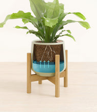 Load image into Gallery viewer, Turquoise stand:bamboo