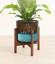 Load image into Gallery viewer, Black stand:walnut