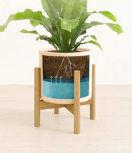 Load image into Gallery viewer, Cream stand:bamboo