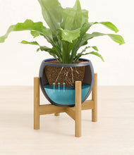 Load image into Gallery viewer, Deep Navy stand:bamboo