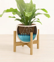 Load image into Gallery viewer, Shiny EggWhite stand:bamboo