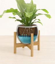 Load image into Gallery viewer, Deep Ocean stand:bamboo