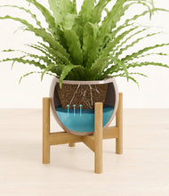 Load image into Gallery viewer, Desert Brown stand:bamboo