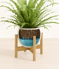 Load image into Gallery viewer, Shiny EggWhite stand:bamboo