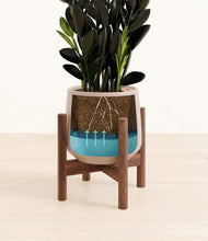 Load image into Gallery viewer, Eternal Gray stand:walnut