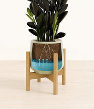 Load image into Gallery viewer, Turquoise stand:bamboo