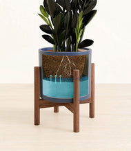 Load image into Gallery viewer, Deep Navy stand:walnut