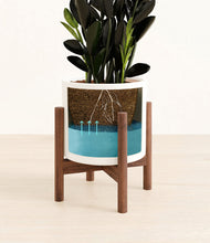 Load image into Gallery viewer, White stand:walnut