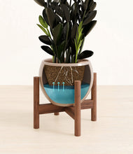 Load image into Gallery viewer, Desert Brown stand:walnut