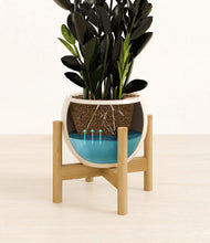 Load image into Gallery viewer, Shiny EggWhite stand:bamboo